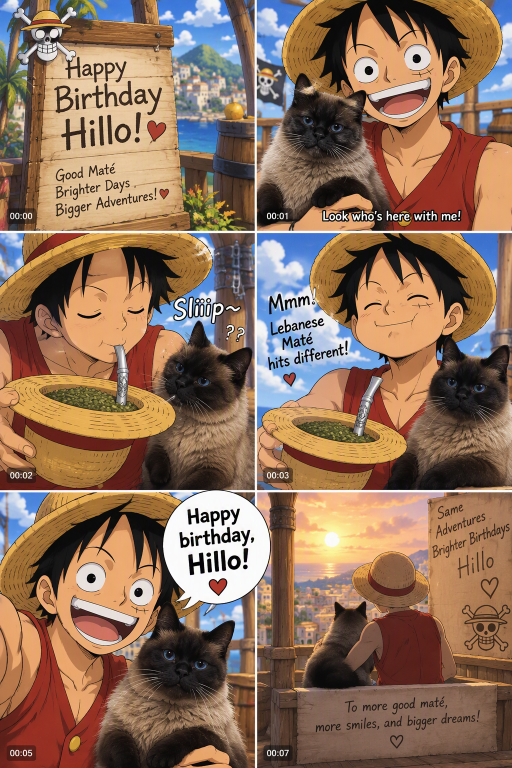 A special birthday surprise for Hillo